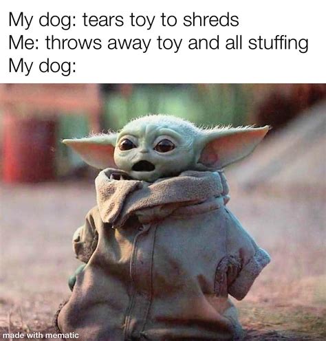 Every time | /r/BabyYoda | Baby Yoda / Grogu | Funny memes, Yoda funny, Star wars memes