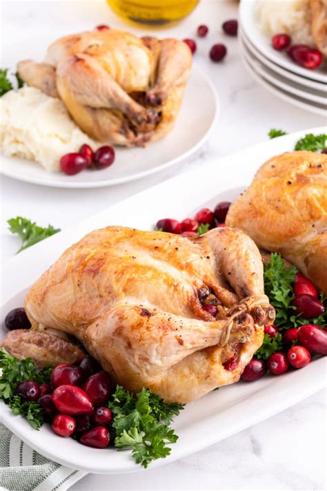 Cranberry Stuffed Cornish Hens – Venagredos