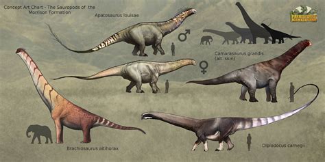 Morrison Formation Chart(s) are here... - Prehistoric Kingdom