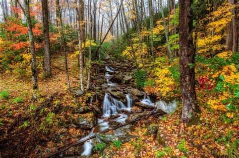 parks, Usa, Autumn, Forests, Stream, Trees, Great, Smoky, Mountains ...