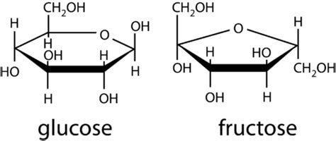 8.2: Monosaccharides - Chemistry LibreTexts