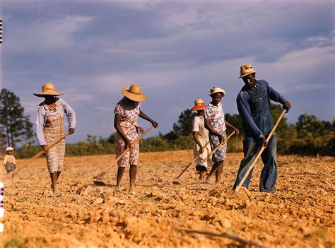 The Origins of Sharecropping and Tenant Farming in Eastern NC