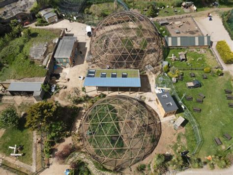 WILDHEART ANIMAL SANCTUARY TO OPEN FIRST-OF-ITS-KIND PRIMATE RESCUE FACILITY - Island Echo ...