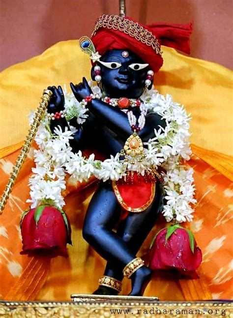 Sri Radha Raman Lal | Lord krishna images, Lord krishna wallpapers, Radha krishna art