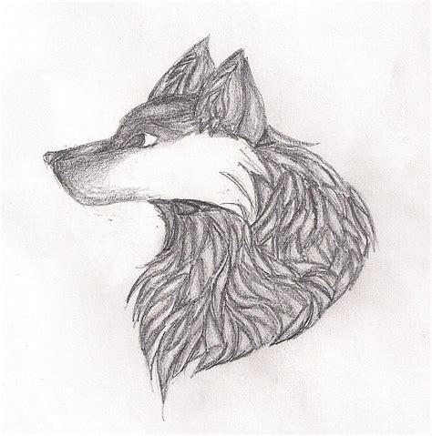 Pencil Shading Wolf by Athrunzz on DeviantArt