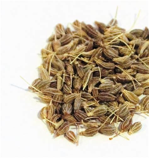 Anise Seed Whole - Walmart.com