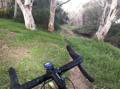 River Torrens Linear Park Mountain Biking Trail