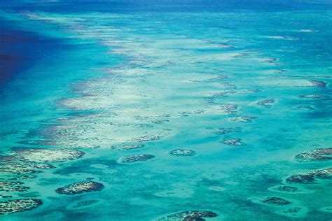 Belize's barrier reef - the best diving in the Caribbean - DIVE Magazine