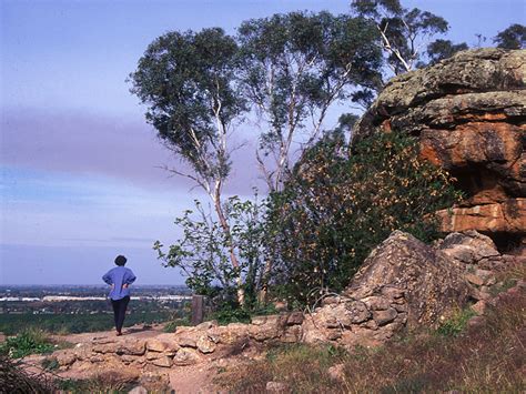 Griffith, NSW - Aussie Towns