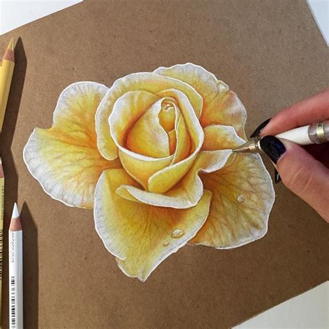 Colored Pencil Drawings Of Flowers