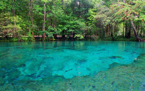 Ginnie Springs Outdoor - Tubing and Diving in Turquoise Wonder | Traxplorio