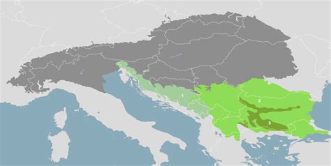 Dinaric Mountains & Balkan Mixed Forests (PA15) | One Earth