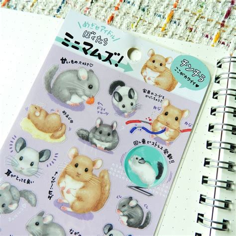 Cute Chinchilla Lanigera Stickers Kawaii Animal Illustration - Etsy ...