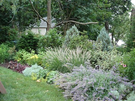 Shrub Border Designs - DIY