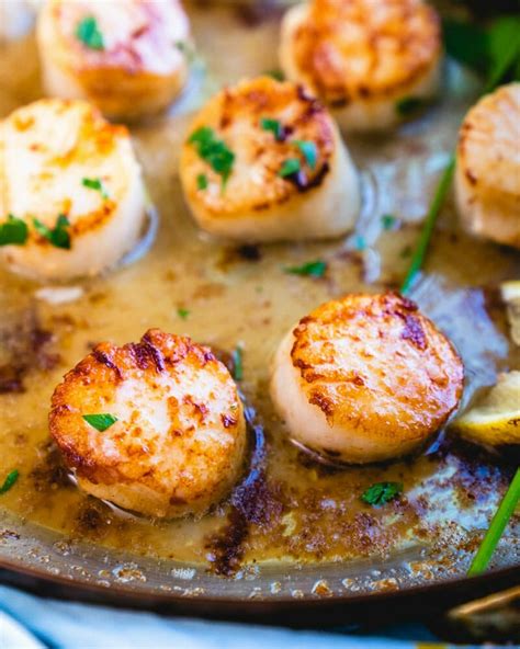 Pan Seared Scallops (Tips & Tricks!) – A Couple Cooks