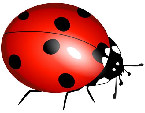 Ladybug Flying Clipart | Clipart Panda - Free Clipart Images | Ladybird, Ladybug, Photo clipart