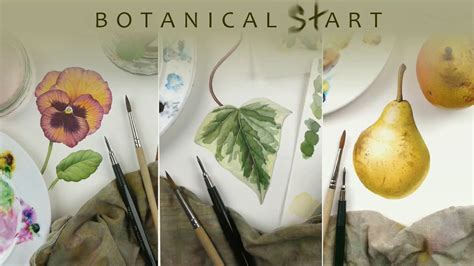 Watercolour techniques used for botanical art - YouTube