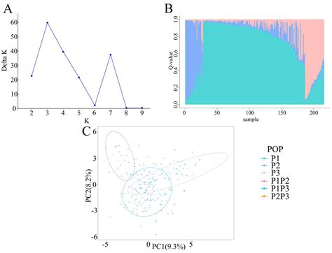 IJMS | Free Full-Text | Genetic Diversity Analysis and Core Germplasm ...