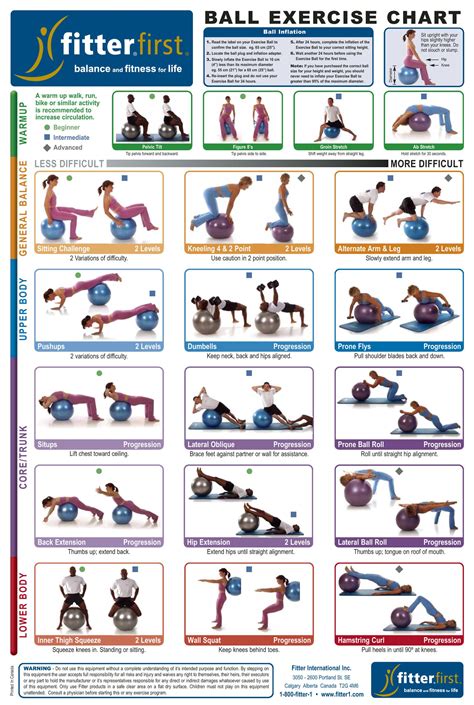 Fitness Ball Exercises For Back Pain - Exercise Poster