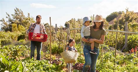 Ultimate Beginners Guide To Starting An Allotment | DIY Garden