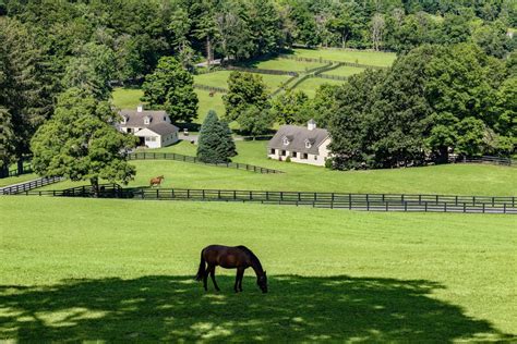 Sunnyfield Farm In Bedford, New York, United States For Sale (12208646)