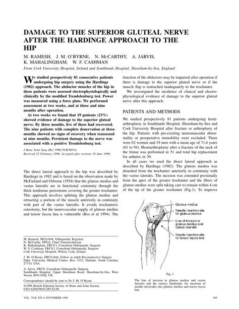 (PDF) DAMAGE TO THE SUPERIOR GLUTEAL NERVE AFTER THE HARDINGE APPROACH TO THE HIP