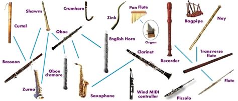 Musical Instruments Evolution