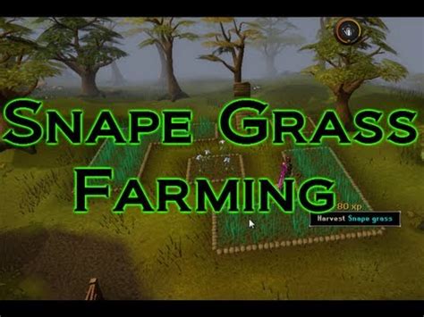 Snape Grass Farming - YouTube