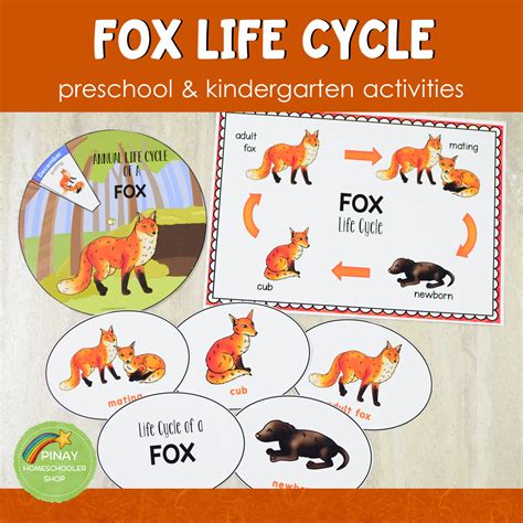 Fox Life Cycle Activity Set – Pinay Homeschooler Shop