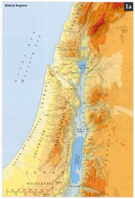 Mapa - La Geografía de Palestina [The Palestine Geography Map]