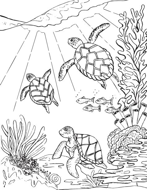 Three Sea Turtles Coloring Page – Mermaid Coloring Pages