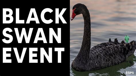 Black Swan Event Index Hits All Time High! Fed Admits Inflation Higher ...