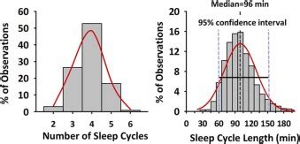 Ultradian sleep cycles: Frequency, duration, and associations with ...