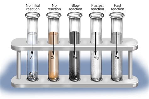 The amount of hydrogen given off rates metals in reactivity