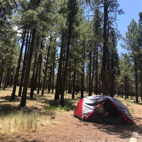 Kaibab National Forest Kaibab Lake Campground | The Dyrt