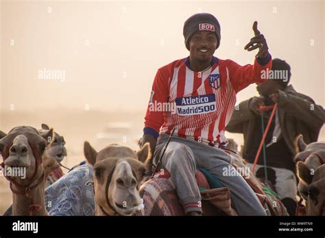 Camel Racing in Taif, Saudi Arabia Stock Photo - Alamy