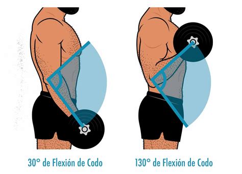 Optimizando el Rango de Movimiento para el Crecimiento Muscular – Outlift