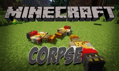 Corpse Mod for Minecraft 1.16.3/1.15.2/1.14.4/1.12.2 Download ...