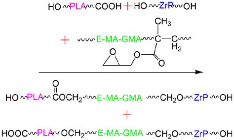 The reaction principle during melt−mixing between PLA, ZrP, and E−MA−GMA. | Download Scientific ...