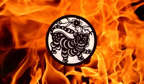 Key Traits of the Fire Tiger Chinese Zodiac Sign