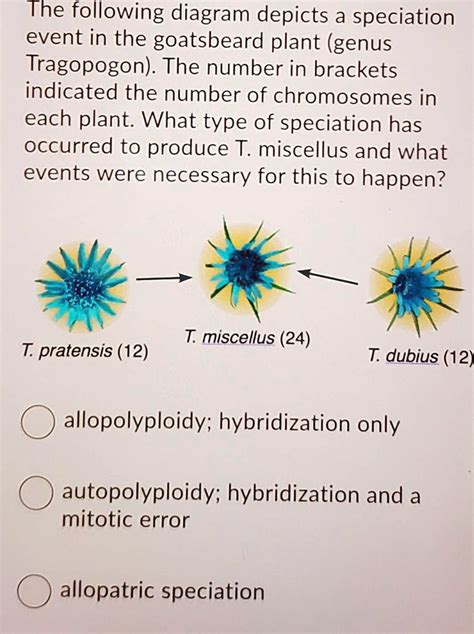 SOLVED: The following diagram depicts a speciation event in the goatsbeard plant (genus ...