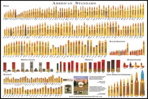 Bullet Caliber Comparison Chart Poster 24inx36in Poster Art Posters kawaguchioffice.com