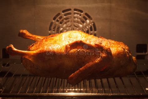 Roast Duck In Oven Royalty Free Stock Images - Image: 33341869