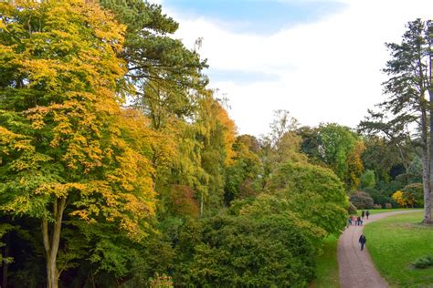 Autumn at Westonbirt Arboretum | Part-Time Passport