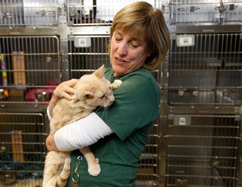 Santa Clara County plans modern no-kill animal shelter