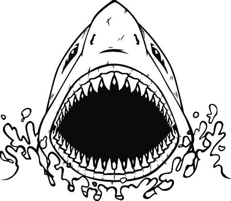 Shark Tooth Drawing at GetDrawings | Free download