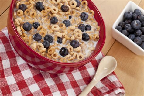 Forté Recipes: Cheerios & Blueberries - Forté Elements