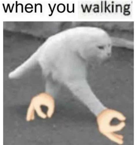 Walking Cat Meme