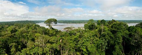 Peruvian Jungle: The best destinations of Peruvian Amazon