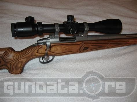 Beretta SAKO 75 HUNTER Review & Price GunData.org